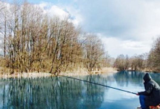 Alter Hafen美食图片