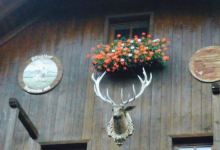 Restaurant Jagdhof美食图片
