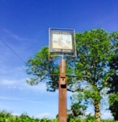 Cart and Horses