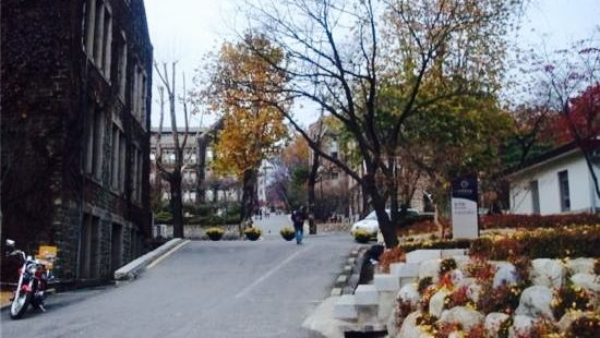 Yeonsero (Yonsei University Street)