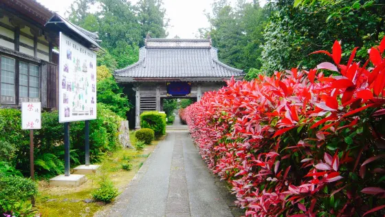 根本寺
