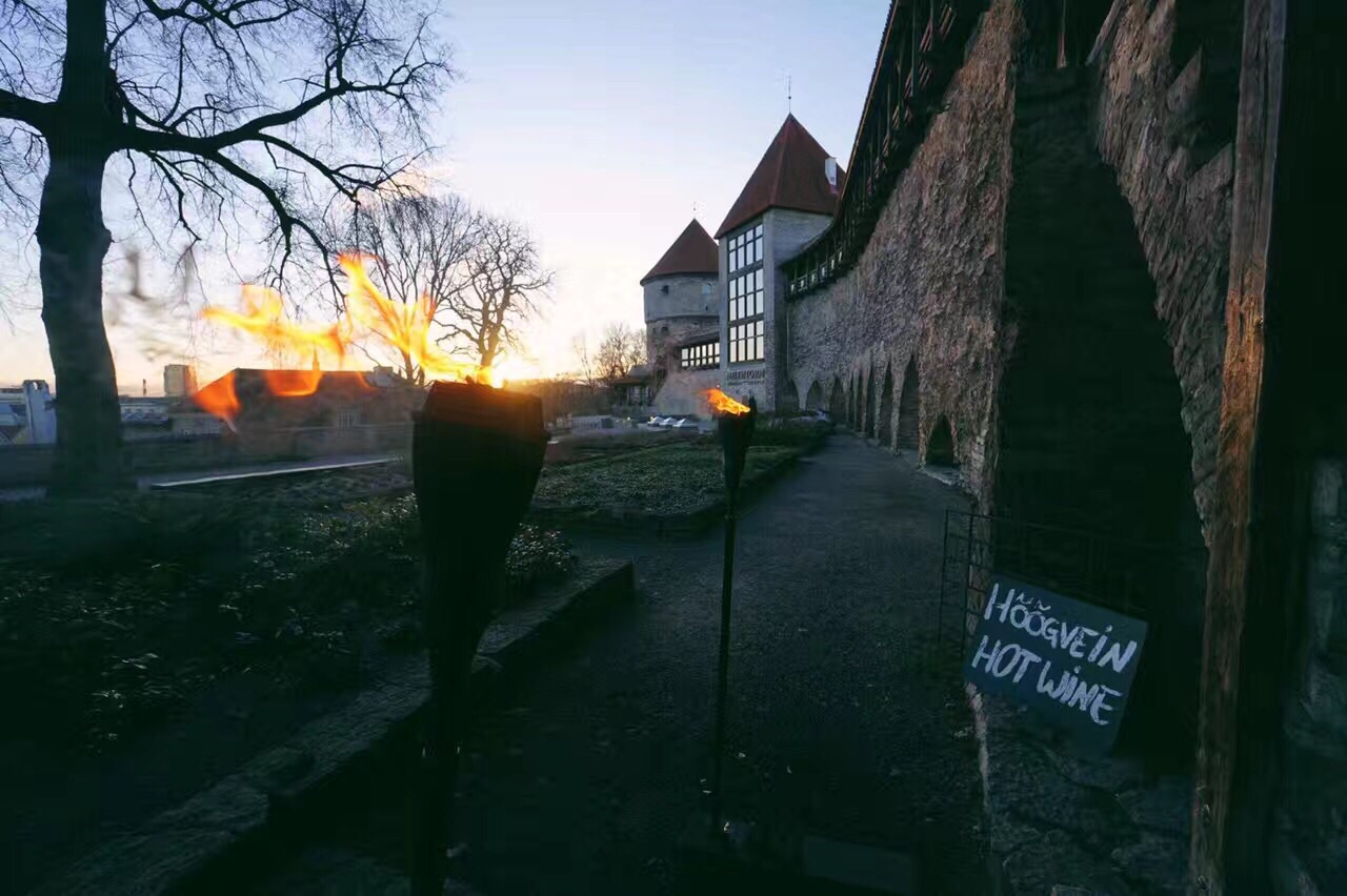 Tallinn 神秘清冷的中世纪古城