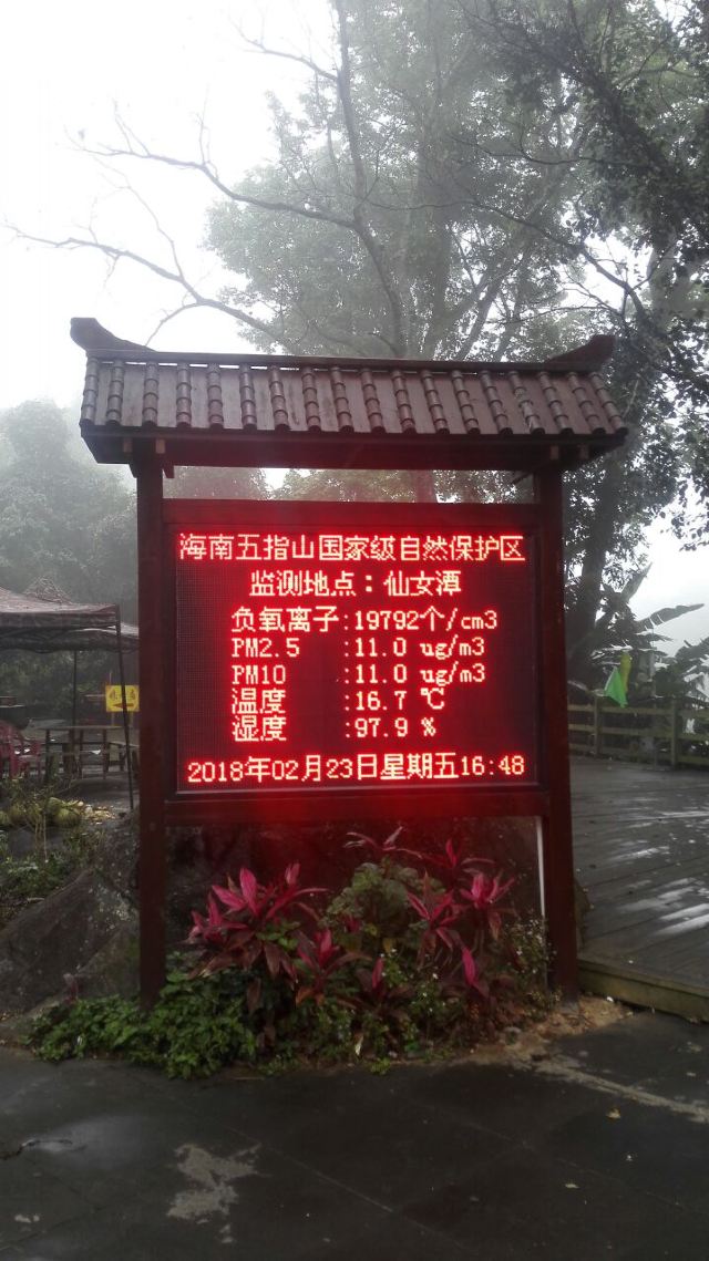 Wuzhishan Tropical Rainforest