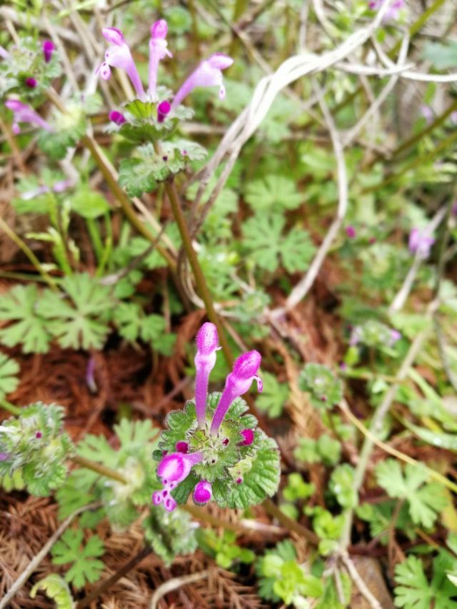 南通濱江公園
