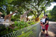 马来西亚国家动物园-安邦-doris圈圈