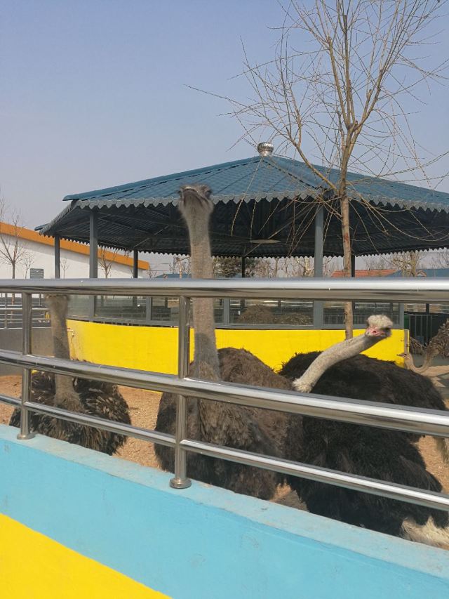 룽커우 동식물원