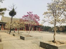 普度寺-北京-m92****73