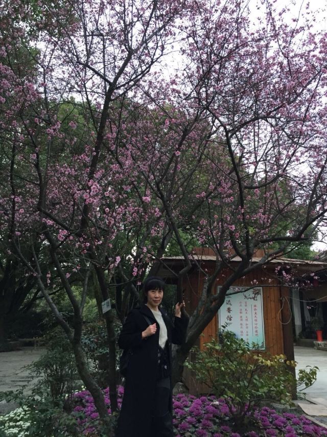매원