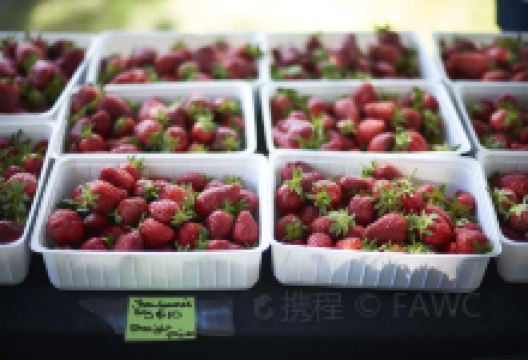 霍克斯湾农贸集市购物图片