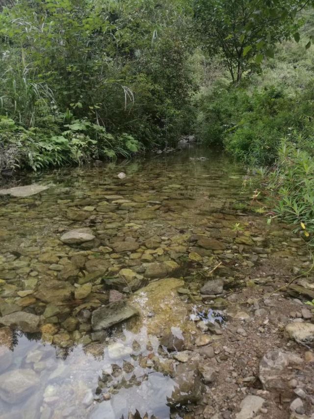 Nanjiang Canyon