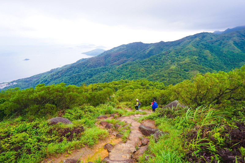 香港徒步行，凤凰径、港岛径