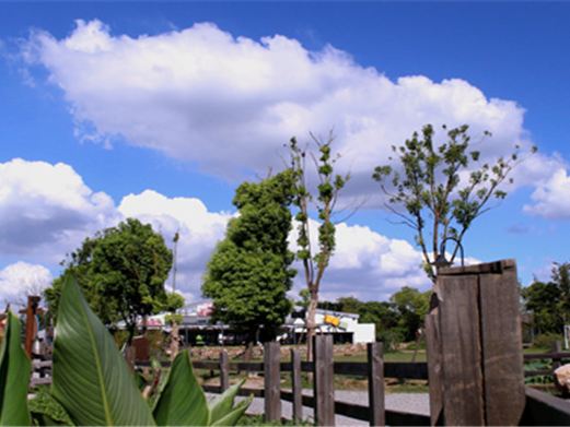 田园东方蜜桃村