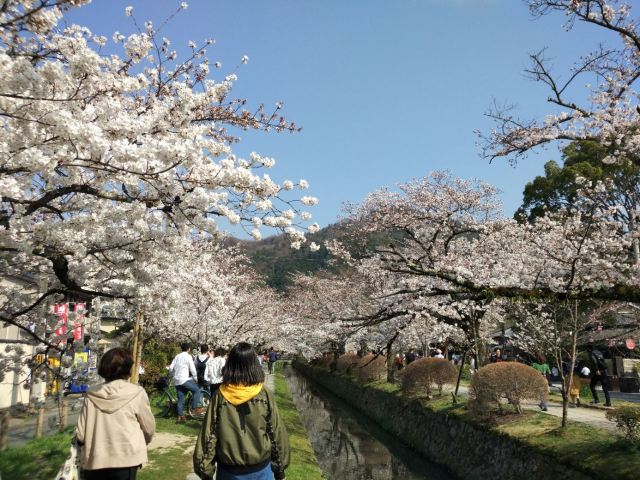 Philosopher's Walk