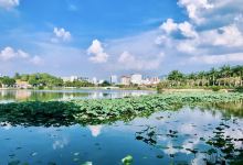 剑英公园景点图片