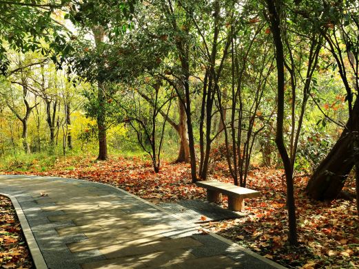 茱萸湾风景区-扬州动物园