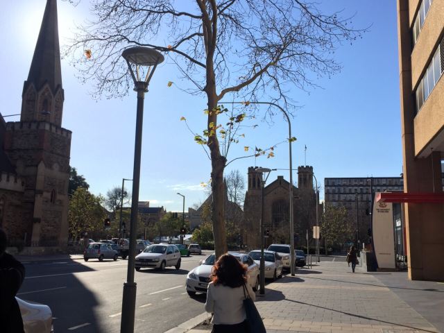 University of Adelaide