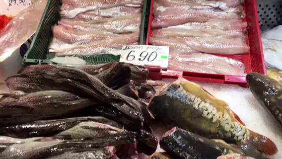 里加中央市场买鱼