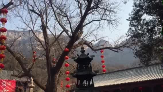 灵岩寺 | 戊戌新年祈福法会