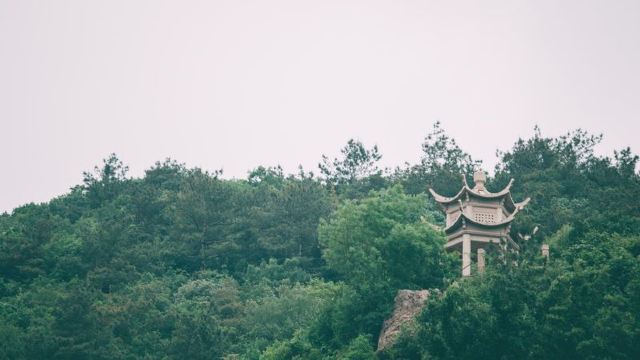 蘇州 閒暇週末 守候樹山
