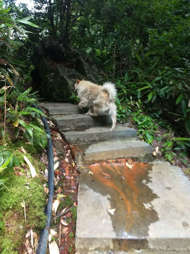 九咆界風景區