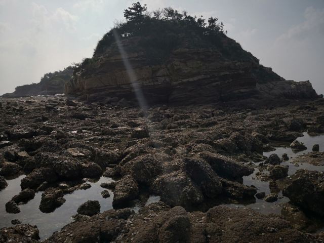 샤오스다오
