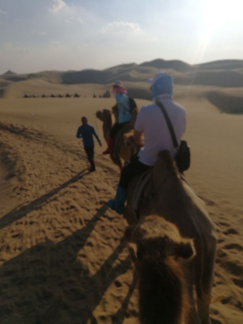 响沙湾骑骆驼