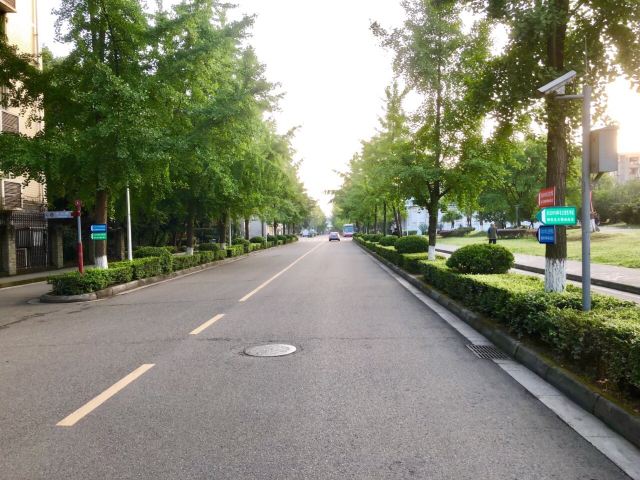 쓰촨 대학교
