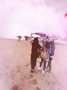 厚田沙漠-南昌-付余妙可可