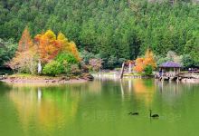 明池国家森林游乐区景点图片