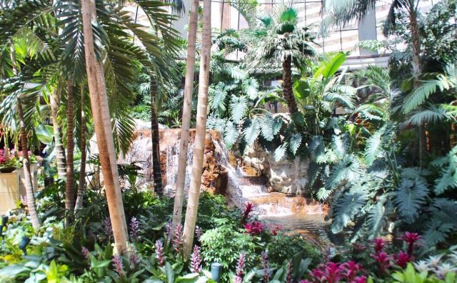 Siegfried Roy S Secret Garden Dolphin Habitat Attractions 错