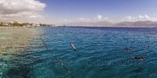 Eilat Coral Beach Nature Reserve-埃拉特-C-IMAGE