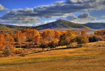 木兰围场+塞罕坝+乌兰布统1日游【全程商务车 司机兼向导】【品质承诺 精致打造】