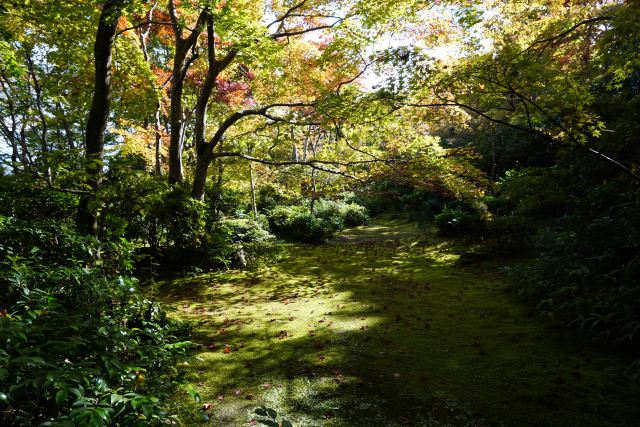 嵐山