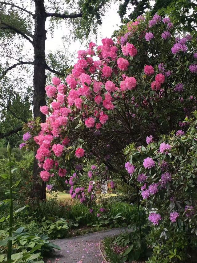 基督城植物園
