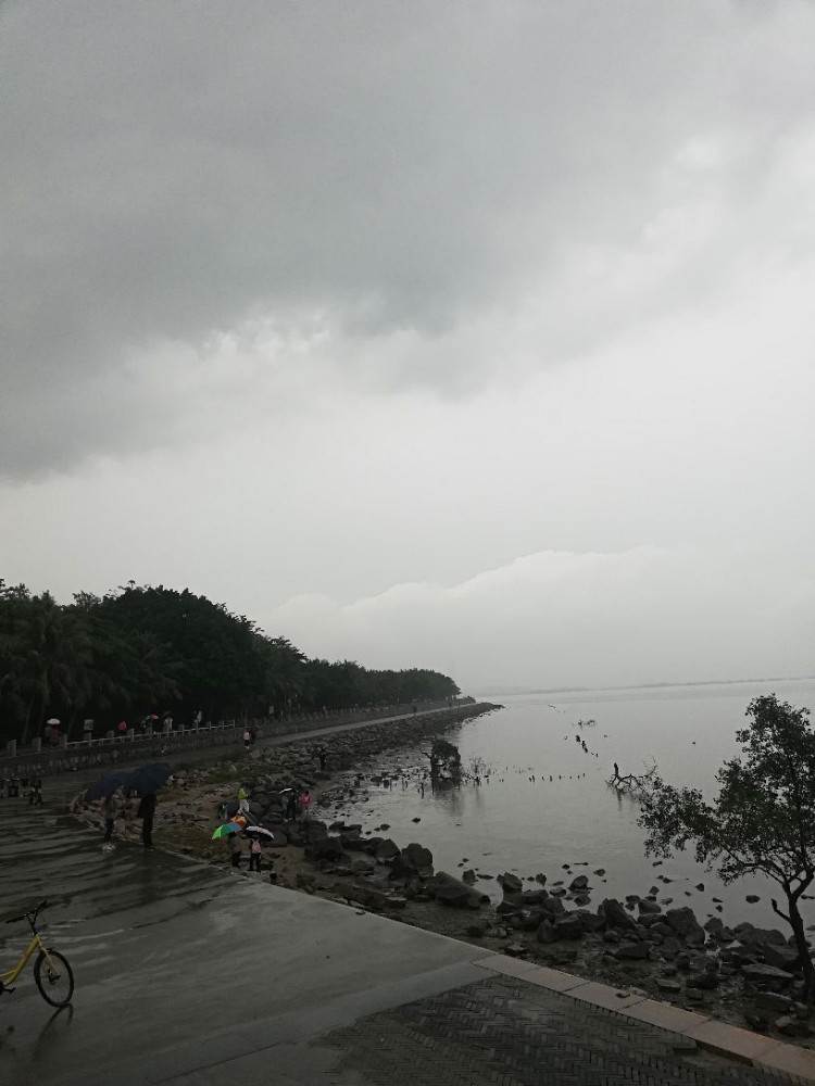 雨中漫步深圳湾