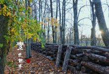 高雅国家公园景点图片