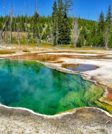 4D3N • Salt Lake City - West Yellowstone Town - Yellowstone National Park - Grand Teton National Park