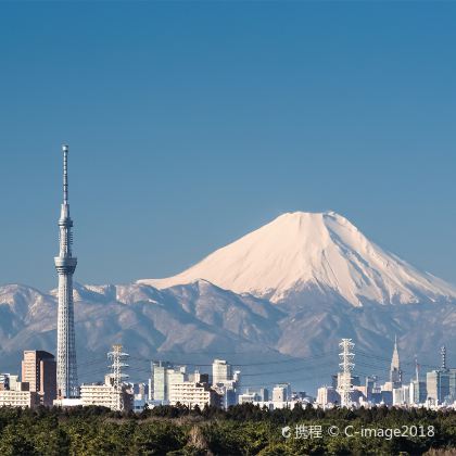 日本东京+富士山5日4晚私家团