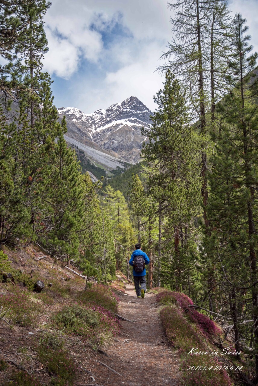 用脚步探索瑞士唯一的国家公园
