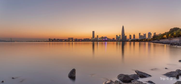 Shenzhen Bay Park | Tickets, Deals, Reviews, Family