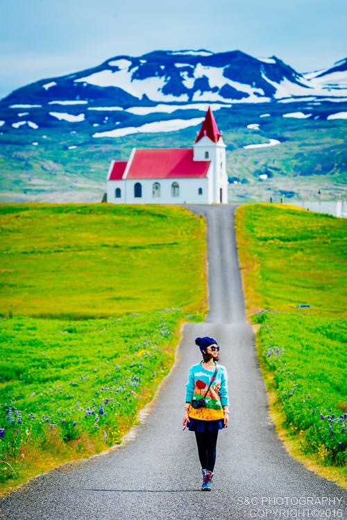 冰岛最可爱的存在—小教堂集锦