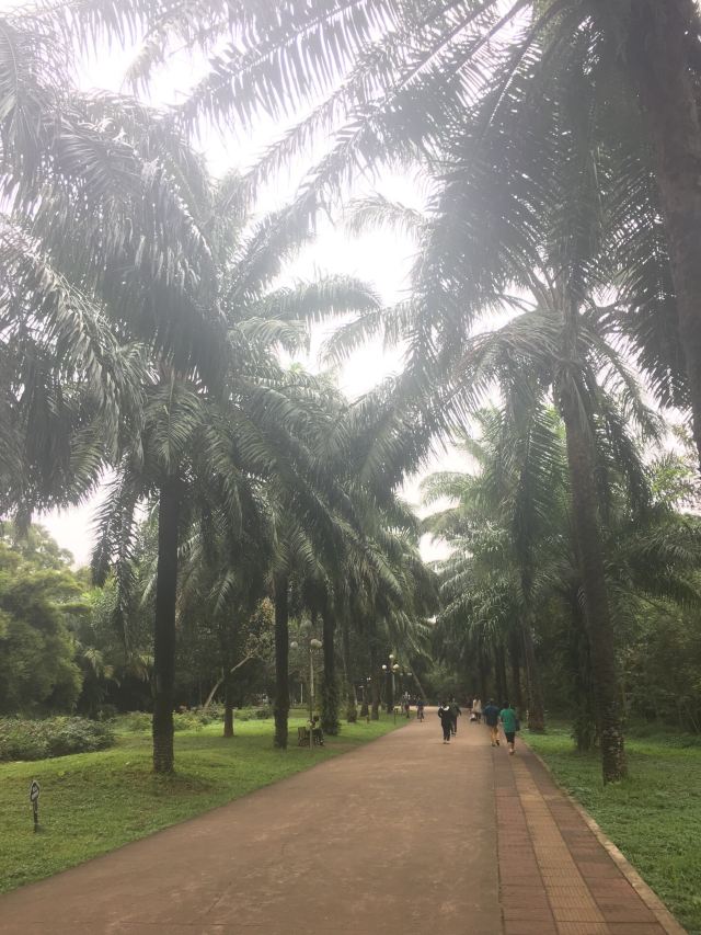 Jinniuling Park