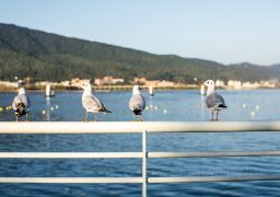 travel picture
