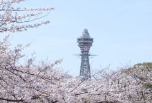 埼玉市旅游图片-埼玉+秩父+埼玉县等多地4日游