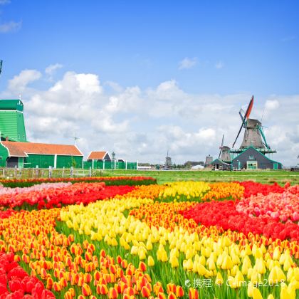 荷兰阿姆斯特丹+鹿特丹+比利时布鲁塞尔7日6晚拼小团