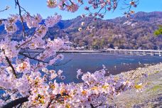 岚山-京都-C-IMAGE