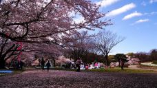 名城公园-名古屋-在路上的Jorick