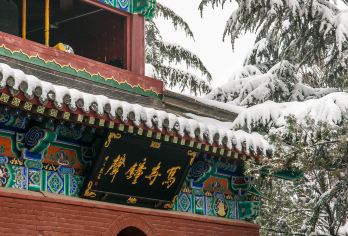 中国洛阳白马寺+少林寺一日游【纯玩不进店+洛阳起止+双险】【纯玩不进店】