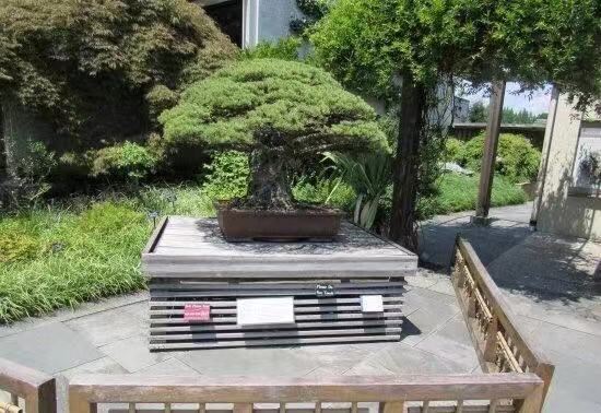 美國植物園