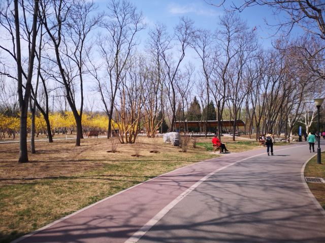四得公园旅行图片 9